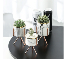 Load image into Gallery viewer, 1 set of 3 marble glazed planter pots with gold iron stands in different sizes placed on a black table