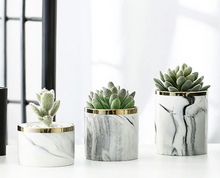 Load image into Gallery viewer, 3 marble glazed planter pots without the iron stand placed on a table