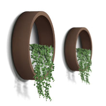 Load image into Gallery viewer, Croft Modern Circular planter Collection with plants for Wall decor