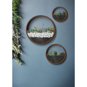 Croft Modern Circular planter collection set with gravel and plants for wall decor