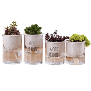 4 self watering planters with assorted plants and the words 'good morning' printed on the glass