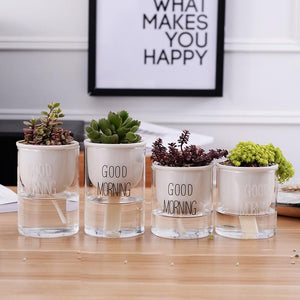 4 different sized self watering planters with a plant and the words 'good morning' printed on the glass in white