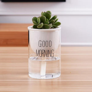 self watering planter with a plant and the words 'good morning' printed on the glass in black