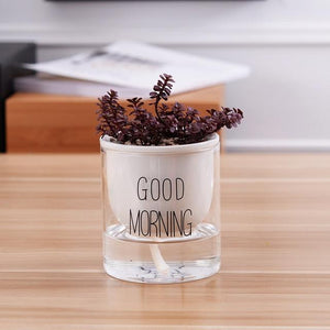 self watering planter with a plant and the words 'good morning' printed on the glass in black