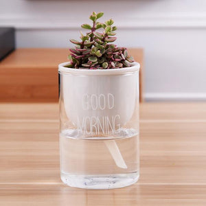 self watering planter with a plant and the words 'good morning' printed on the glass in white