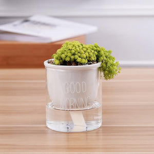 self watering planter with a plant and the words 'good morning' printed on the glass in white