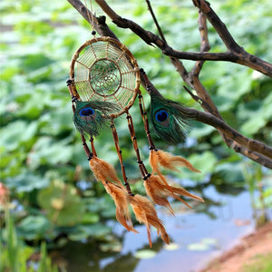 multicolored dreamcatcher hanging on a tree