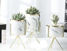 Load image into Gallery viewer, 1 set of 3 marble glazed planter pots with gold iron stands in different sizes